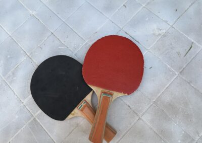 Raquetes de tennis de taula (ping-pong)